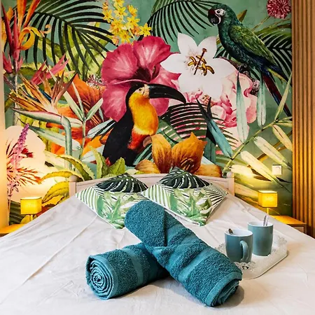 Appartement Le Chouette Toucan