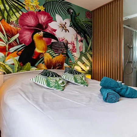 Appartement Le Chouette Toucan