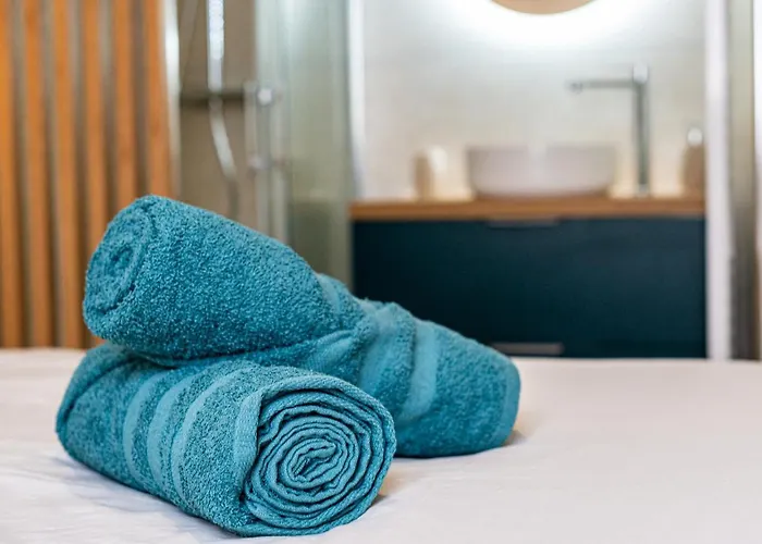 Le Chouette Toucan Appartement Dijon